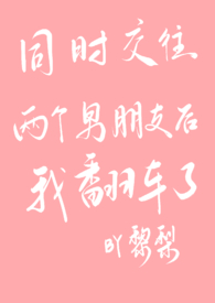 站街日记（gl，纯百）